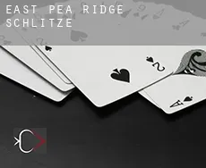 East Pea Ridge Schlitze