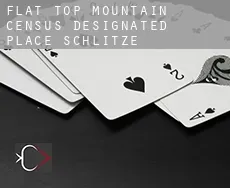 Flat Top Mountain  Schlitze