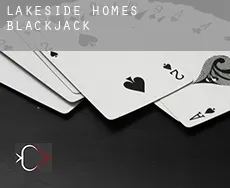 Lakeside Homes  Blackjack