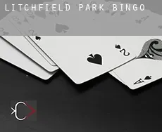 Litchfield Park  Bingo