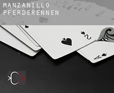 Manzanillo  Pferderennen