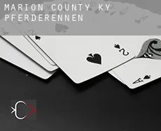 Marion County  Pferderennen