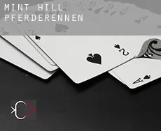 Mint Hill  Pferderennen