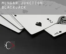 Mungar Junction  Blackjack