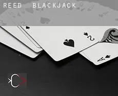 Reed  Blackjack