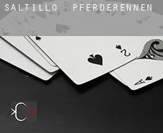 Saltillo Pferderennen