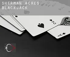 Sherman Acres Blackjack