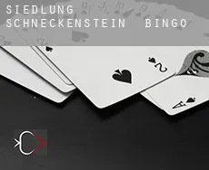 Siedlung Schneckenstein Bingo