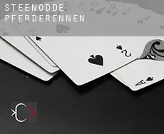 Steenodde Pferderennen