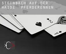 Steinbach auf der Haide  Pferderennen