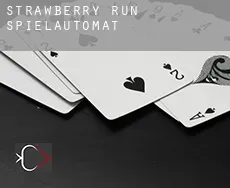 Strawberry Run  Spielautomat