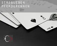 Strigleben Pferderennen
