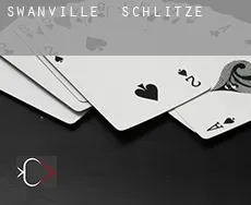 Swanville  Schlitze