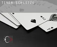 Tiner  Schlitze