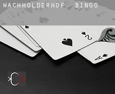Wachholderhof  Bingo