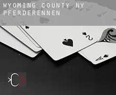 Wyoming County  Pferderennen