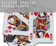 Collens Landing  Pferderennen