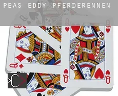 Peas Eddy  Pferderennen