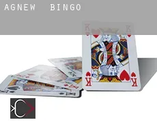 Agnew  Bingo