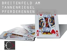 Breitenfeld am Tannenriegel  Pferderennen