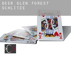 Deer Glen Forest  Schlitze