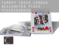 Turkey Creek  Pferderennen