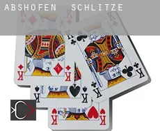 Abshofen  Schlitze