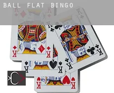 Ball Flat  Bingo