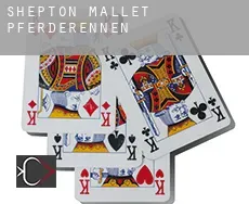 Shepton Mallet  Pferderennen