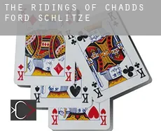 The Ridings of Chadds Ford  Schlitze