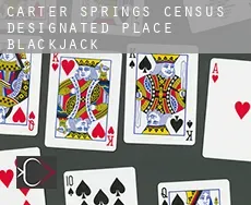 Carter Springs  Blackjack
