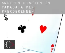 Anderen Städten in Yamagata-ken  Pferderennen