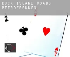 Duck Island Roads  Pferderennen