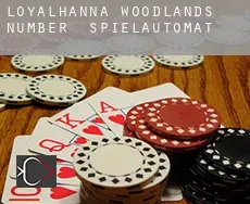 Loyalhanna Woodlands Number 2  Spielautomat