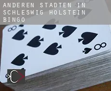 Anderen Städten in Schleswig-Holstein Bingo