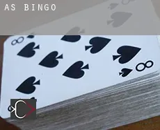Ås  Bingo