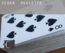 Cedar  Roulette