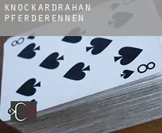 Knockardrahan Pferderennen