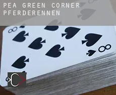 Pea Green Corner  Pferderennen