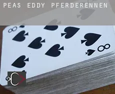 Peas Eddy  Pferderennen