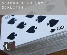 Shamrock Colony  Schlitze