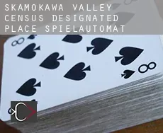 Skamokawa Valley  Spielautomat