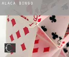 Alaca  Bingo