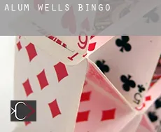 Alum Wells  Bingo
