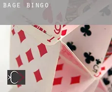 Bagé  Bingo