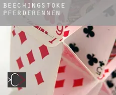 Beechingstoke  Pferderennen