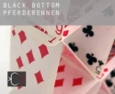 Black Bottom  Pferderennen