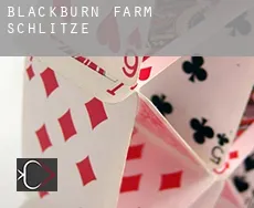 Blackburn Farm Schlitze