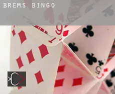 Brems  Bingo