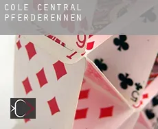 Cole Central Pferderennen